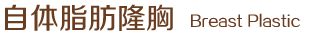 自體脂肪隆胸
