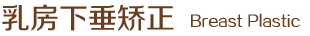 乳房下垂矯正